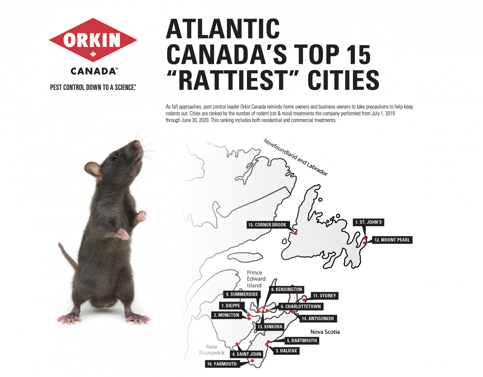 Orkin Canada Ranks Rattiest Cities In Atlantic Canada 98.1 Charlotte FM