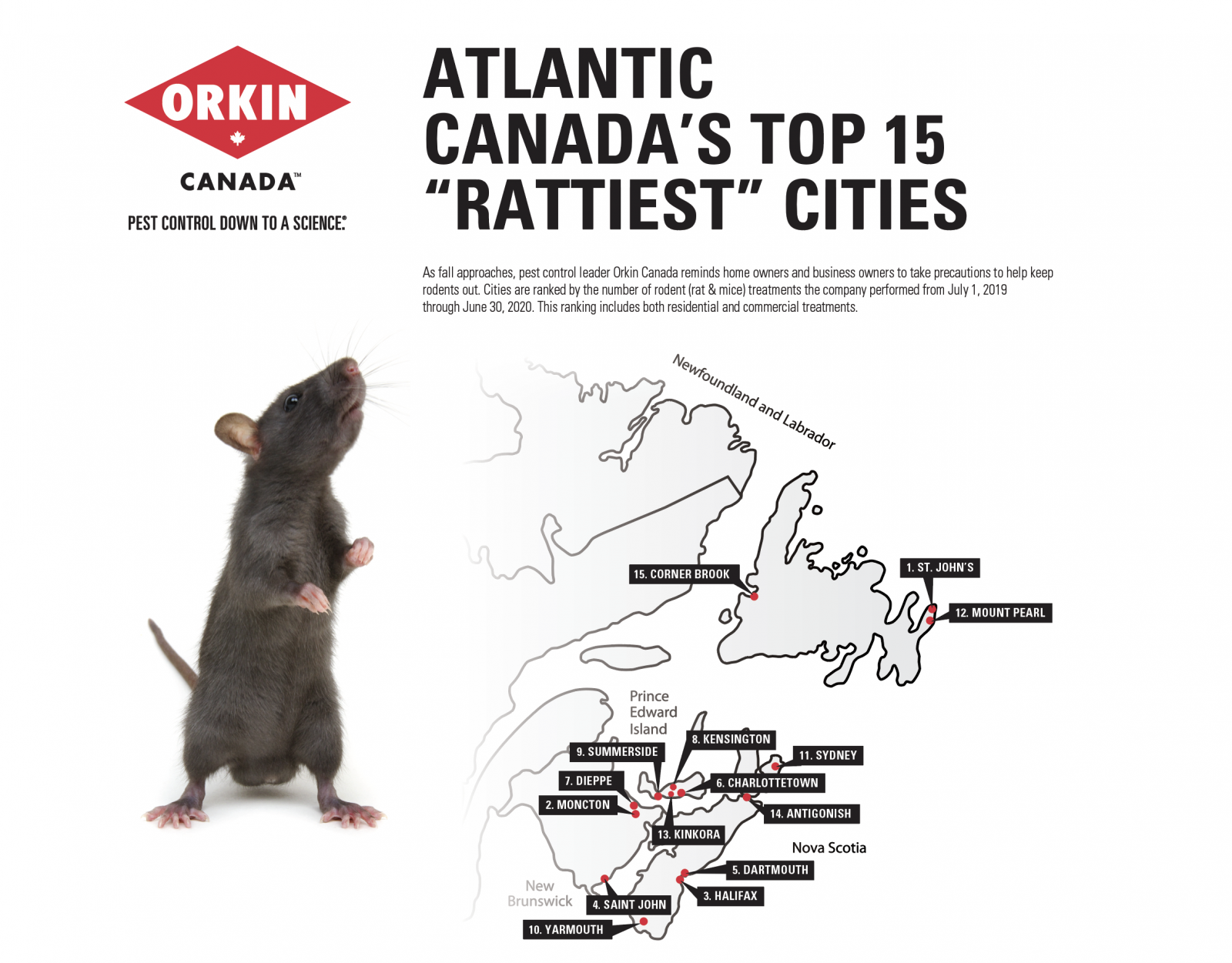 Orkin Canada Ranks Rattiest Cities In Atlantic Canada 91.9 The Bend